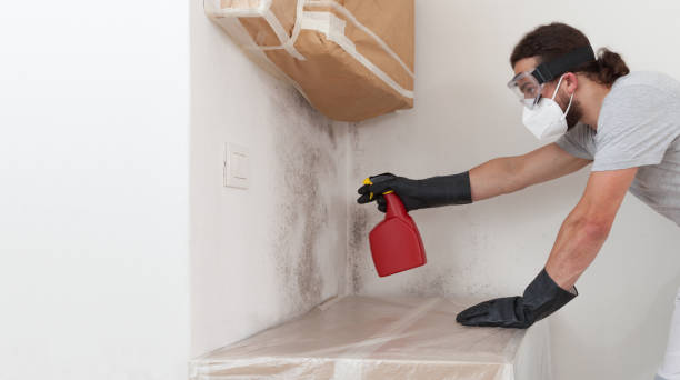 Professional Mold Cleanup technician working in Montville, NJ