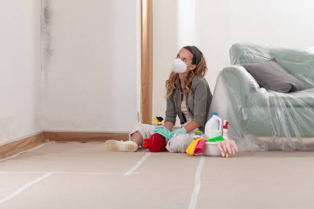 Reliable Mold Cleanup contractor in Montville, NJ by Cheap Mold Removal